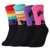 Casual Cotton Socks for Women and Men - Rainbow, Purple, Rose Red, Large Size 39-47, Combed Cotton Medium Tube Socks